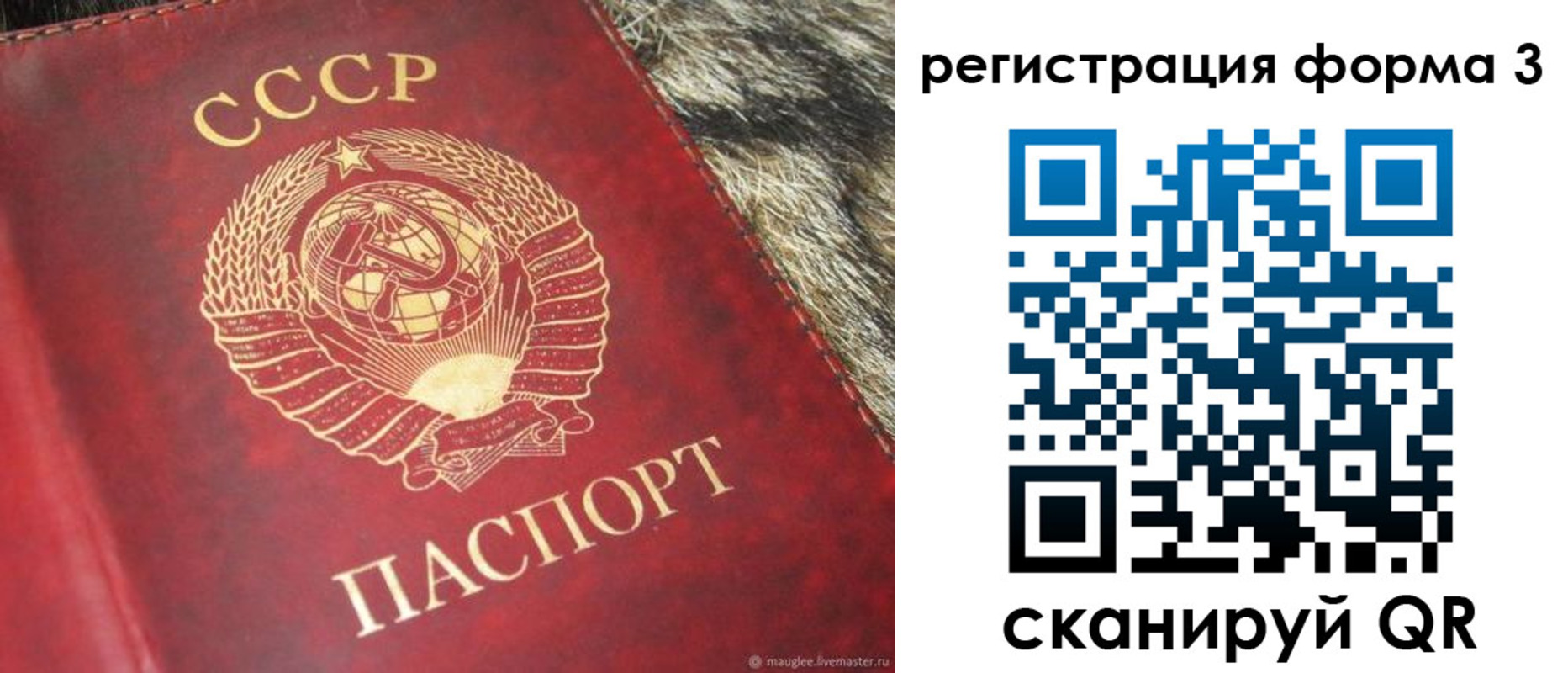 прописка регистрация в Богдановиче